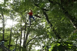 Eté actif 2026 : Grimpe d'arbre