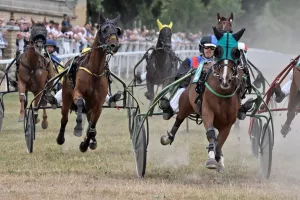 Courses hippiques - Trot