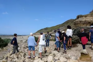 Visite guidée des falaises des Roches noires - Pointe du Heurt