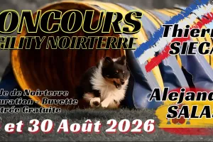 Concours d'agility