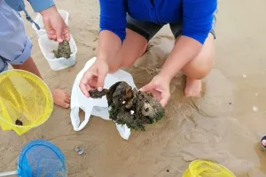 Atelier de pêche à pied