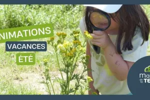 A la découverte des petites bêtes du sol