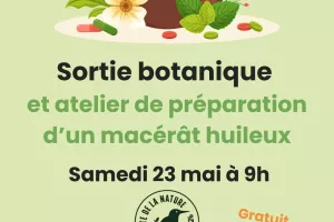 Sortie botanique et préparation d’un macérat huileux