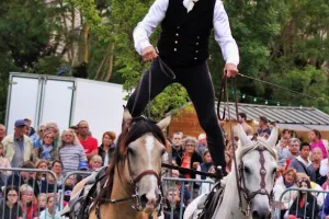 Grand spectacle équestre