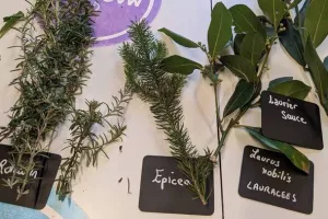 Prendre soin de soi en respectant la planète avec Nos Deux Mains