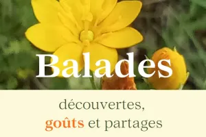 La table sauvage au Domaine les Hauts de Riquets