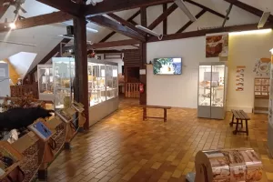 Visite du Musée Patrimonial du Pays de Thônes