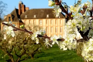 Conférence historique sur les vergers de Port-Royal des Champs