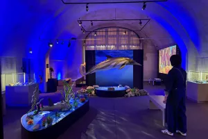 Atelier Dans la peau d'un paléontologue