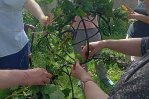 Atelier créations végétales avec l'association Culture(s) en Herbe(s) et la Maison Populaire de Montreuil