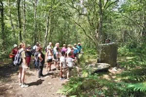 Rando à la découverte du GR® de Pays Monts et Barrages – Vassivière