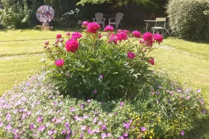 Échanges sur le thème de l'horticulture par le paysagiste Benoît Besancenot