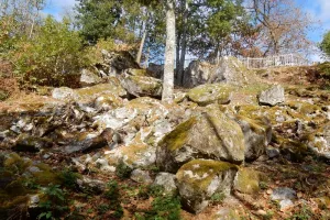 Visite commentée du sentier des meulières