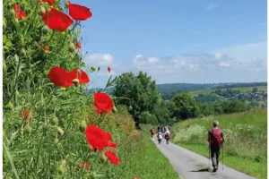 Randonnée Pédestre avec Lou Chami Bourganiauds