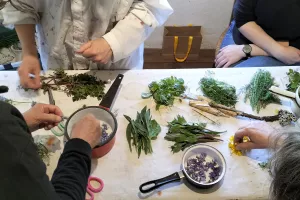 Atelier Exploration Tinctoriale d'Isabelle Collett