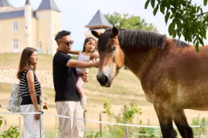 Nourrir les animaux de la ferme et atelier créatif au Château Plain Point