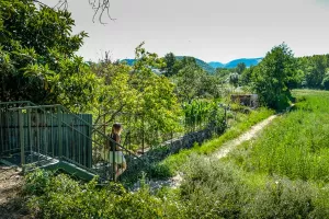 Balade Eveil Nature