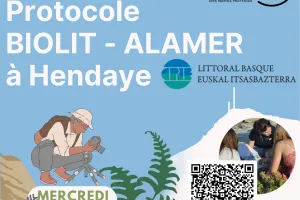 Observateurs du Littoral : découvrez la richesse de la biodiversité de l’estran rocheux.