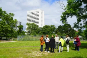 Balade urbaine au Grand parc : Un quartier aux 1001 facettes