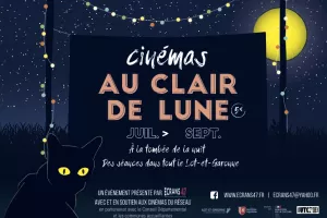 Soirée cinéma au clair de lune