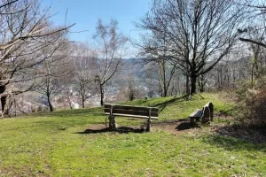 visite découverte du Bois d'Avaize