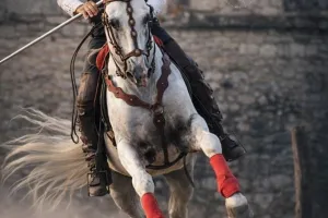 La Guinguette Equestre