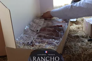 Vente de porc à la ferme