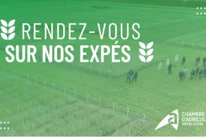 Visite d'essais - Vallée du Loir (72)