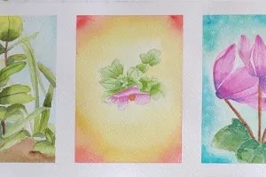 Les aquarelles de Deborah
