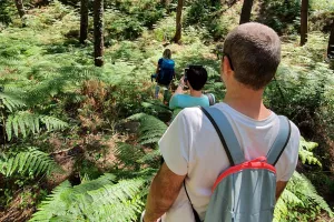 Bain de forêt