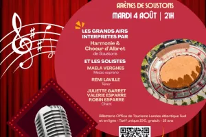 Un soir de comédie musicale