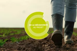 De la découverte au projet - Maraîchage - Doué-en-Anjou (49)