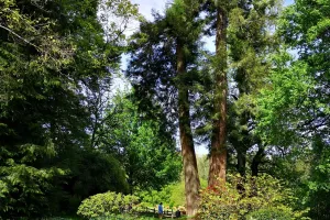 Rendez-vous aux jardins au parc de Meyrignac