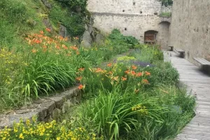 Regards sur le château et ses jardins !