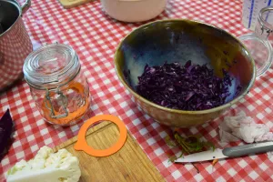 Apprenez les bases de la lactofermentation
