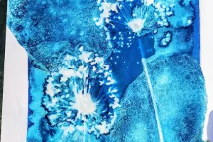 Atelier "Cyanotype : Voyage photographique"