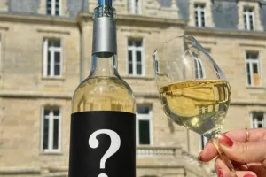 Soirée de lancement du Blanc de Trintaudon