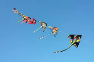 Etang de Chaux : Animations famille
