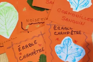 Memory d'arbre