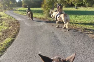 JOURNEE « A CHEVAL EN NATURE ! »