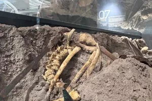Visite guidée flash Les vestiges de la Grande Guerre