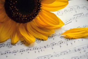 Fête de la musique de Champagnac la Rivière