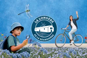 Exposition “ Libellules, entre ciel et eau ”