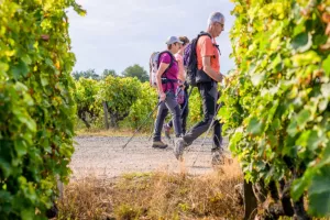 Randonnée pédestre et repas