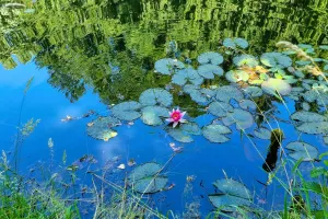 Rendez-vous aux jardins à l'arboretum Al Gaulhia