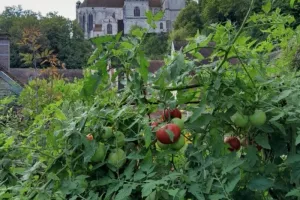 Visite du jardin de l'atelier Bourberault