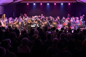 Fête de la musique