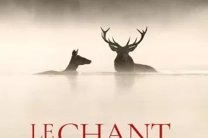 Cinéma en plein air " Le chant des forêts"