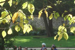 Lecture au Jardin