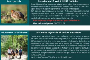 BALISAGE DE SENTIER